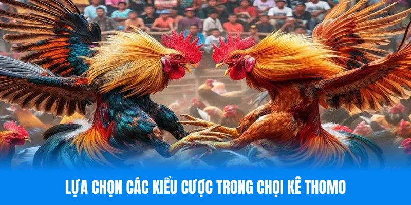 Lựa chọn các kiểu cược trong chọi kê Thomo